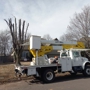 Cehand Tree Service & Construction