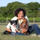 North Fork School for Dogs - Dog Training