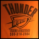 Thunder Tree Service - Tree Service