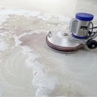New Life Carpet Cleaning