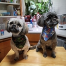 Happy Hounds Pet Grooming - Pet Grooming