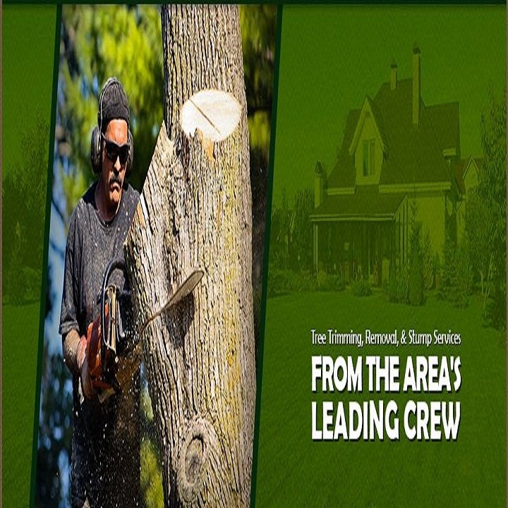 B & R Tree Service - Fort Wayne, IN 46805