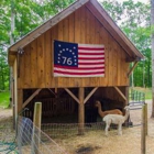 Black Sheep Post and Beam