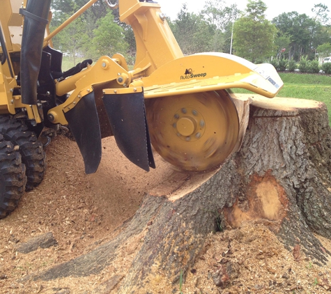 Adelaide Tree Felling Services - Glynde, SA