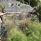 Peninsula Environmental Group, Inc