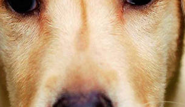 Latrobe Veterinary Group - Traralgon, VIC