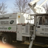 Bottom Line Tree Service gallery