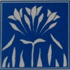 Willow Glen Dental Care gallery