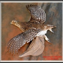 Pheasant Freaks Taxidermy - Taxidermists