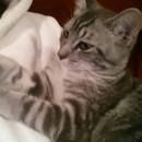 Critter Fixer Veterinary Hospital: Byron - Veterinarians