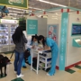 EZ Vet Pet Care Station-Pet Supplies Plus, Pinellas Park