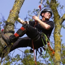 TreeLeads.co - Directory & Guide Advertising