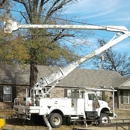 Arkansaw Tree Service - Stump Removal & Grinding