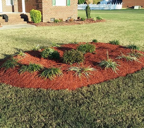 Dalmatian Lawn Care and Pressure Washing, LLC. - Goldsboro, NC