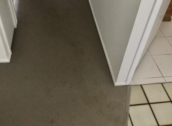 Gorman's Carpet Care & Pest Control - Middle Park, QLD. Down the hall and into a bedroom. Max found wet areas we couldn’t even see from the surface.