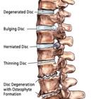 Healthfirst Chiropratic