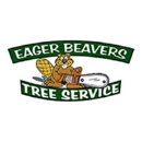 Eager Beavers Tree Service - Tree Service