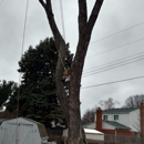Madison tree .llc - Snow Removal Service