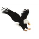 Eagle Landscaping - Landscape Contractors