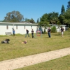 Brevard Dog Training gallery