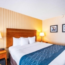 Comfort Inn Falls Church - Tysons Corner - Motels