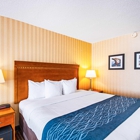 Comfort Inn Falls Church - Tysons Corner