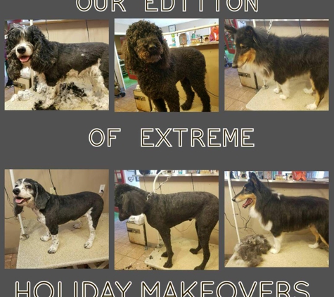 Gracie's Grooming & Kennel - Louisville, TN