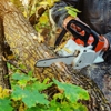 Weldon's Tree Service gallery