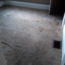 Steve's Floor Care & Services LLC - Floor Waxing, Polishing & Cleaning