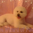 Wizard Of Paws - Pet Grooming
