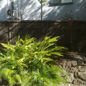 Gallery Image Number 8