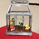 C Horse Farm Terrariums And Miniature Plants - Garden Centers