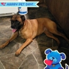Atlantic Coast K-9 Training Service gallery