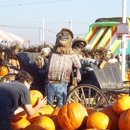 Pa's Pumpkin Patch - Amusement Places & Arcades