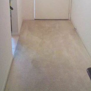 A1 DRY Carpet Cleaning - Largo, FL