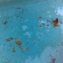 Bee's Pool Services Inc - Swimming Pool Repair & Service
