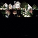 Dozier Lawn Care