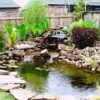 Aquatic Gardens Custom Services gallery