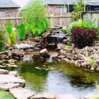 Aquatic Gardens Custom Services