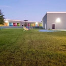 iLuckyDog Pet Campus - Dog Day Care
