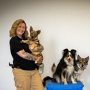 Every Dog Behavior and Training - Dog Training