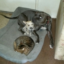 Humane Society of San Bernardino Valley - Humane Societies