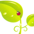 Clink Landscaping & Nursery, Inc. - Landscape Designers & Consultants