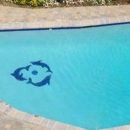 Custom In Ground Pools - Swimming Pool Dealers