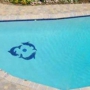 Custom In Ground Pools