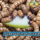Crickets & Worms For Sale - Livestock Breeders