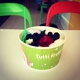 Tutti Frutti Frozen Yogurt