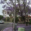Northwood Park Apartment Homes gallery