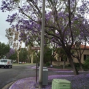 Northwood Park Apartment Homes - Apartments