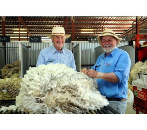 Rural Management Strategies Pty Ltd - Cootamundra, NSW